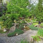 Miejski Ogród Botaniczny w Zabrzu to jedna z perełek województwa śląskiego - galeria