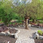Miejski Ogród Botaniczny w Zabrzu to jedna z perełek województwa śląskiego - galeria