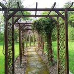 Miejski Ogród Botaniczny w Zabrzu to jedna z perełek województwa śląskiego - galeria