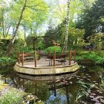 Miejski Ogród Botaniczny w Zabrzu to jedna z perełek województwa śląskiego - galeria