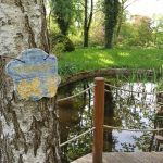 Miejski Ogród Botaniczny w Zabrzu to jedna z perełek województwa śląskiego - galeria