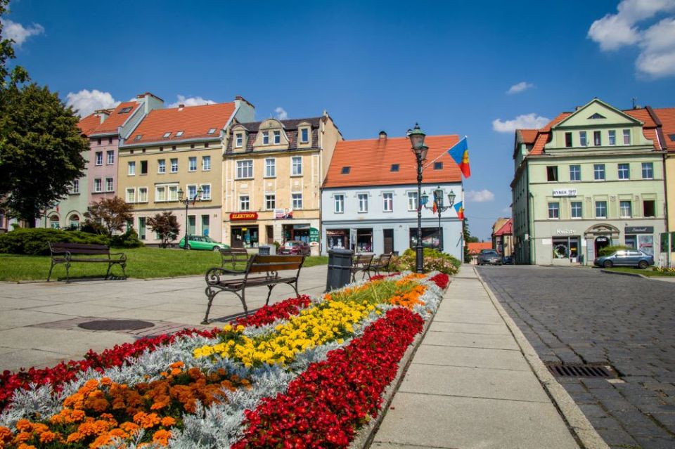 fot. D. Szuba, UM Wodzisław Śląski