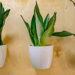 Akcja Tron: Przedszkole w Ożarowicach zmienia swoje toalety dzięki dzieciom! - galeria