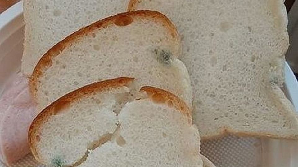 W szpitalu w Tarnowskich Górach podano pacjentowi choremu na jelita spleśniały chleb - galeria