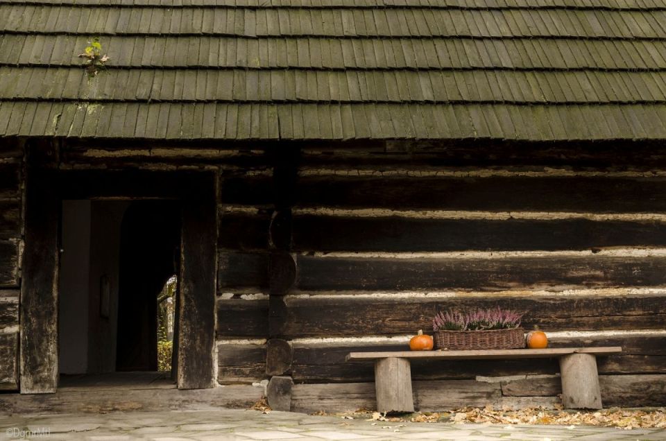 Wizyta w Zagrodzie Wsi Pszczyńskiej — wiejskie życie w śląskiej odsłonie!  - galeria