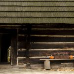 Wizyta w Zagrodzie Wsi Pszczyńskiej — wiejskie życie w śląskiej odsłonie!  - galeria