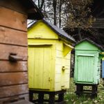 Wizyta w Zagrodzie Wsi Pszczyńskiej — wiejskie życie w śląskiej odsłonie!  - galeria