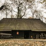 Wizyta w Zagrodzie Wsi Pszczyńskiej — wiejskie życie w śląskiej odsłonie!  - galeria