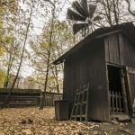 Wizyta w Zagrodzie Wsi Pszczyńskiej — wiejskie życie w śląskiej odsłonie!  - galeria