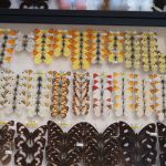 Modliszki, motyle i pasjonaci - Za nami II Międzynarodowy Dzień Wymiany Owadów i Targi Entomologiczne w Muzeum Górnośląskim w Bytomiu [FOTO] - galeria