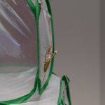 Modliszki, motyle i pasjonaci - Za nami II Międzynarodowy Dzień Wymiany Owadów i Targi Entomologiczne w Muzeum Górnośląskim w Bytomiu [FOTO] - galeria