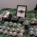 Modliszki, motyle i pasjonaci - Za nami II Międzynarodowy Dzień Wymiany Owadów i Targi Entomologiczne w Muzeum Górnośląskim w Bytomiu [FOTO] - galeria