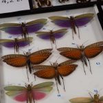 fot. Krzysztof Faber