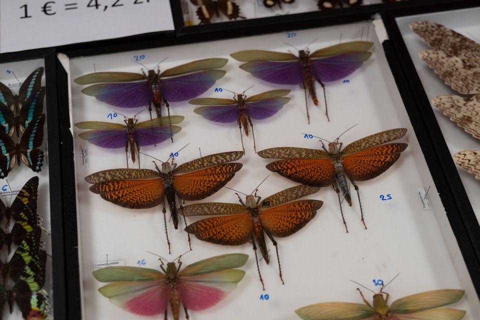 fot. Krzysztof Faber