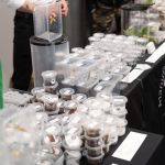 Modliszki, motyle i pasjonaci - Za nami II Międzynarodowy Dzień Wymiany Owadów i Targi Entomologiczne w Muzeum Górnośląskim w Bytomiu [FOTO] - galeria