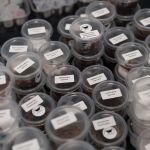 Modliszki, motyle i pasjonaci - Za nami II Międzynarodowy Dzień Wymiany Owadów i Targi Entomologiczne w Muzeum Górnośląskim w Bytomiu [FOTO] - galeria